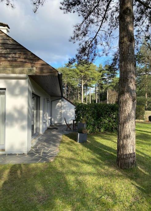 Le Rosa: Villa De Charme Entre Mer Et Pinede Quend Eksteriør bilde